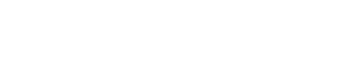 RAYIZ